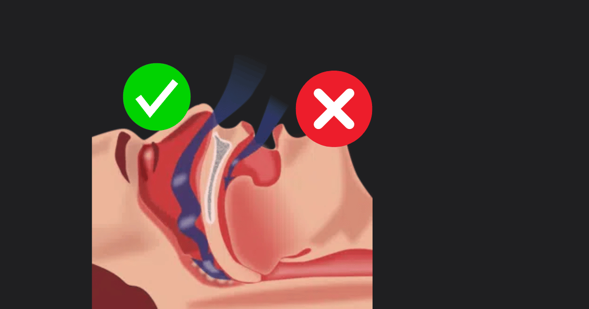 Není to jenom o kráse…